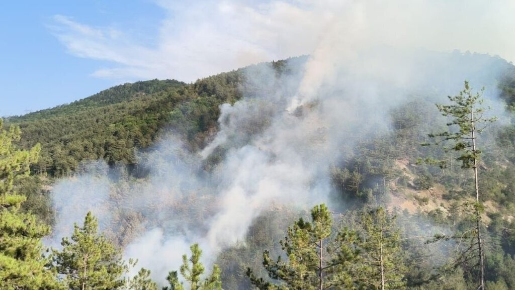 Bolu’daki Orman Yangınına Müdahale Sürüyor