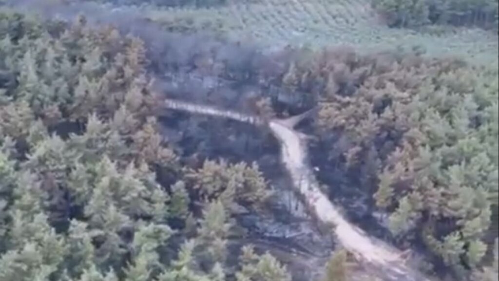 Mudanya’da Orman Yangını Kontrol Altına Alındı
