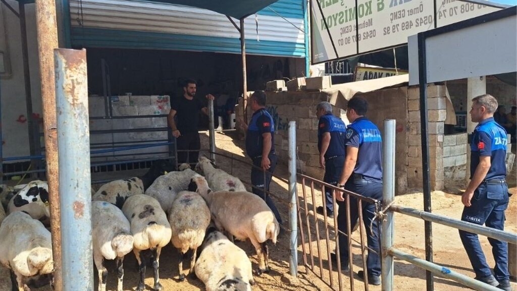 Şanlıurfa Büyükşehir Zabıta’dan Kaçak Kesim Uyarısı