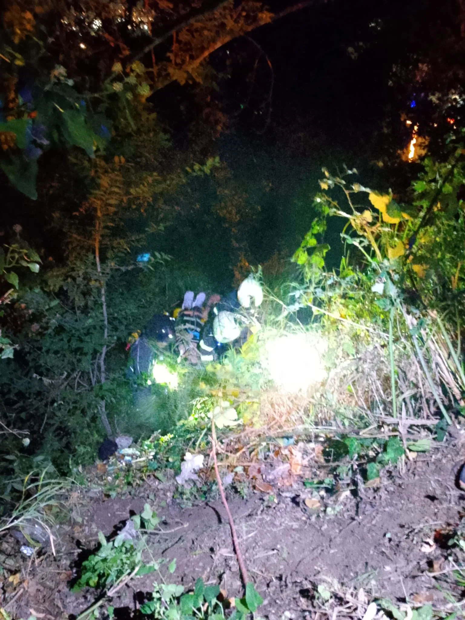 20 metre yükseklikten ormanlık alana düşerek yaralandı