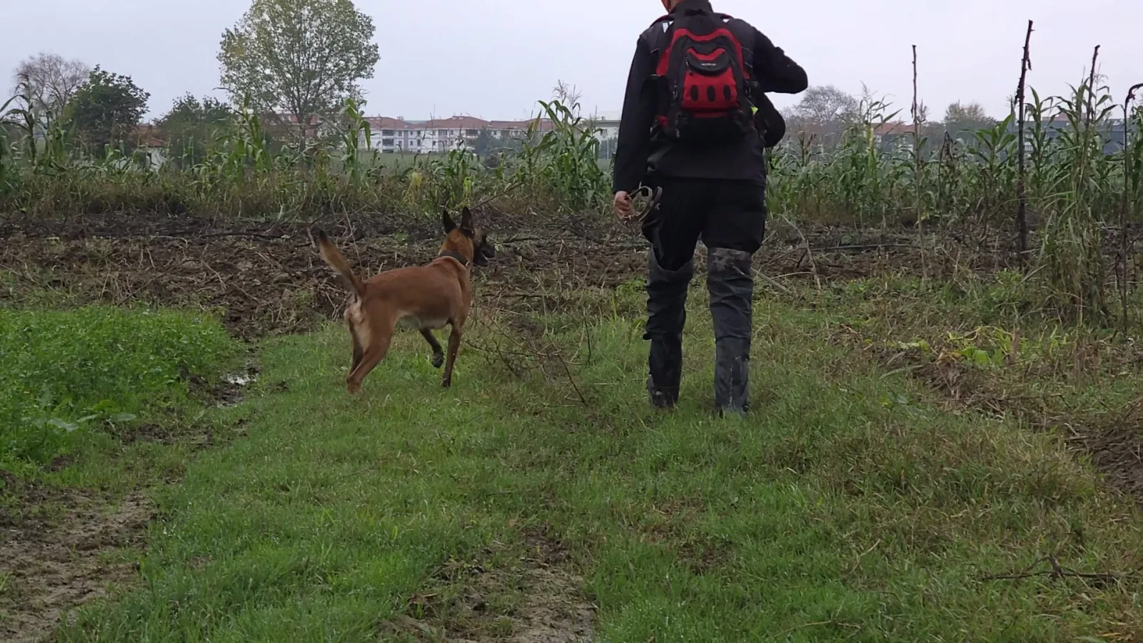 6 gündür kayıp olan Emrah, özel eğitimli köpekler ve dronla aranıyor