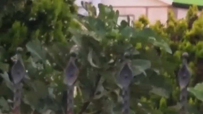 Akıma kapıldığı çatıdan ayaklarından sarkıtılarak indirildi, kaldırıldığı hastanede öldü