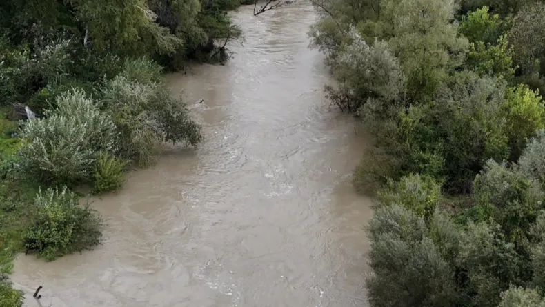 Amasra'da fırtına; çok sayıda ağaç devrildi (5)