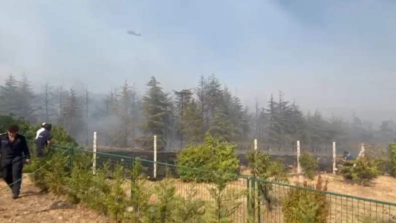 Ankara'da villaların yakınındaki ormanlık alan yandı