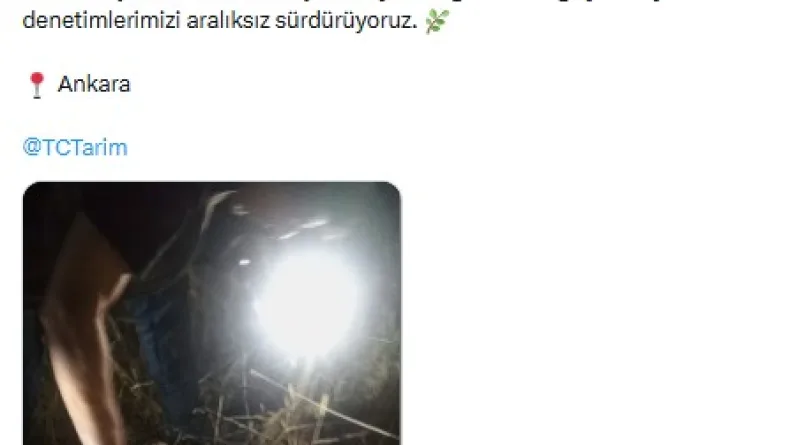 Ankara'da yasa dışı av denetimi; ses cihazları ve kameralar ele geçilirdi