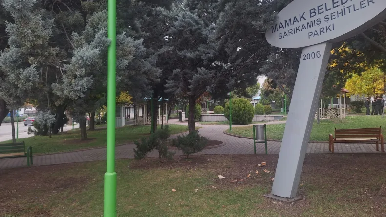 Ankara'daki akran cinayetinde 11 yıllık husumet iddiası