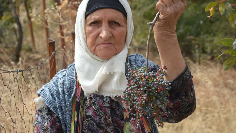 Annesiyle başladığı çitlembik mesaisini 78 yaşında sürdürüyor