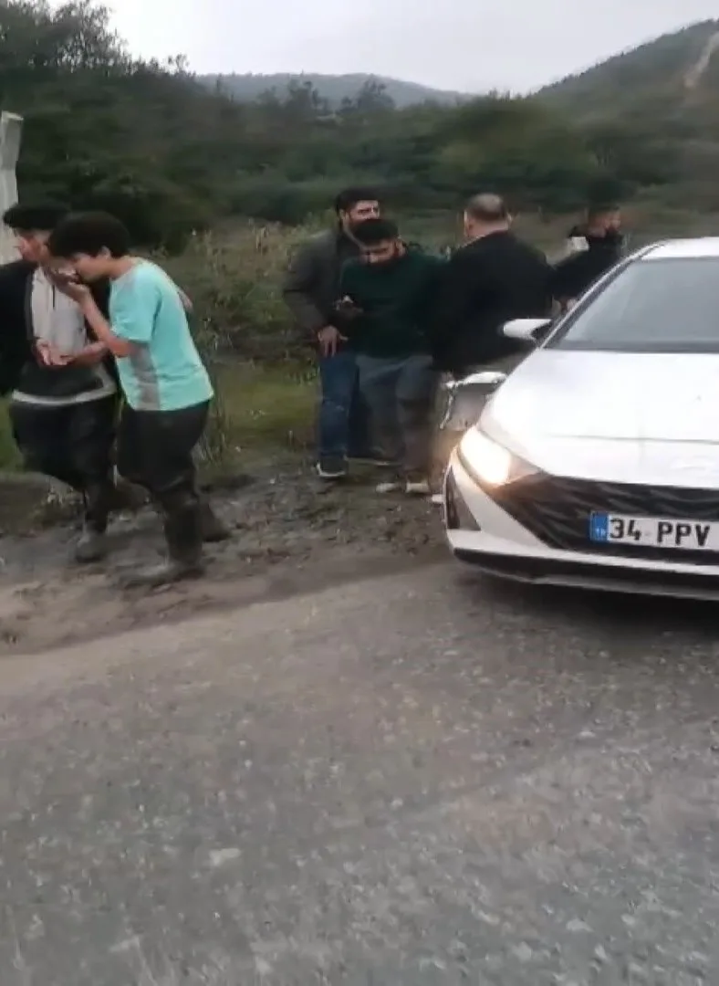 Arnavutköy’de otomobilin çarptığı at öldü: 3 kişi yaralandı