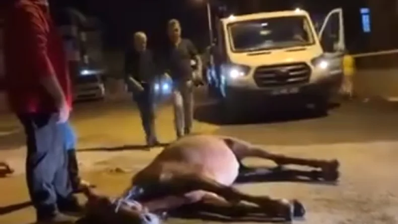 Ata şiddet uygulandığı iddiası; 2 şüpheli gözaltında