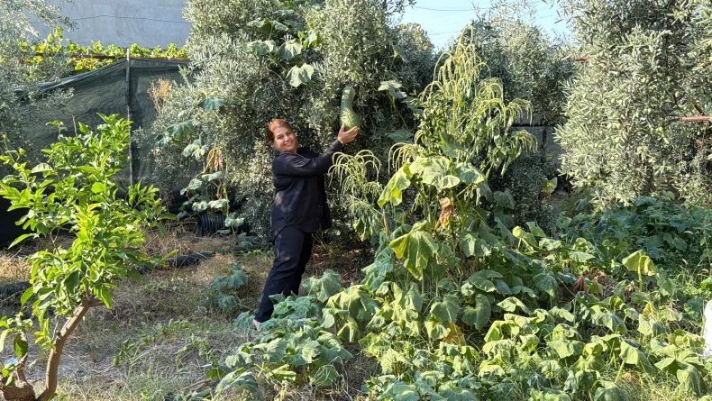 Atalık tohumları gelecek nesillere taşıyor