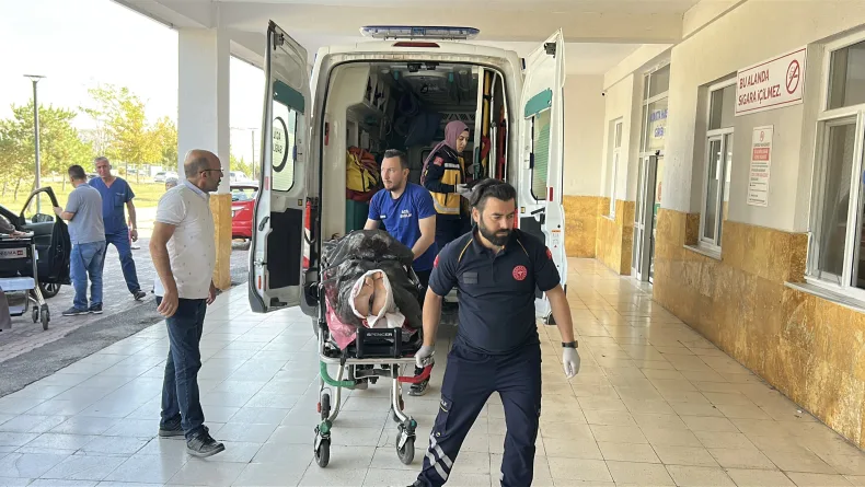 Ayı saldırısına uğrayan çoban yaralandı