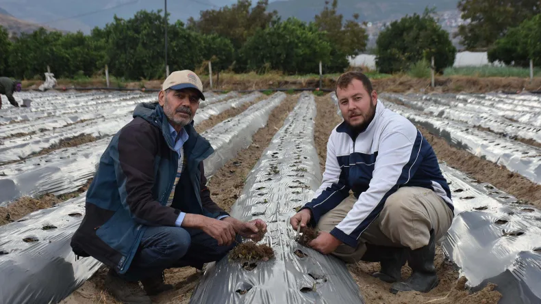 Baba-oğul, ata toprağında organik tarım yapıyor