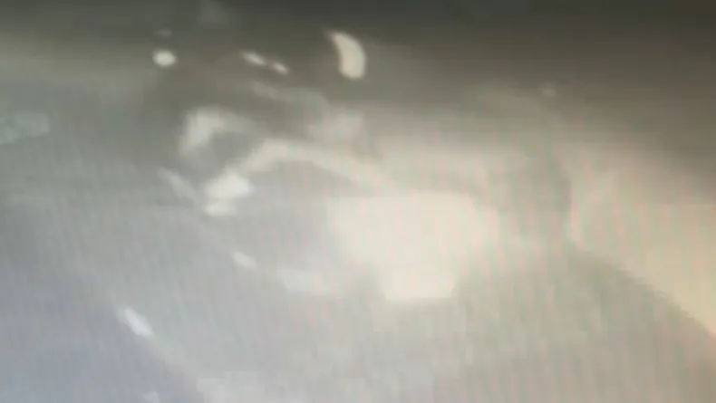 Bağcılar'da 20 yaşındaki genci öldüren şüpheli Çeşme'de yakalandı