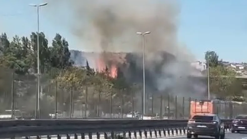 Bakırköy'de ağaçlık alanda yangın -1