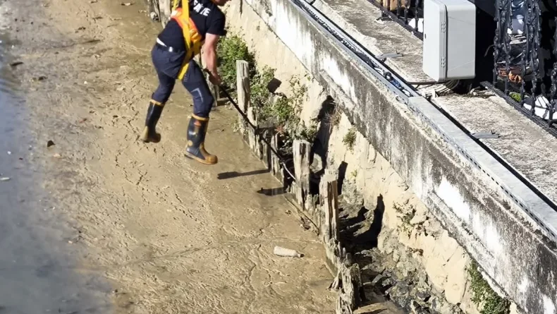 Balçıkla kaplı dere yatağında mahsur kalan kedileri itfaiyeciler kurtardı