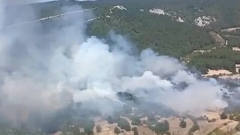 Balıkesir'de orman yangını