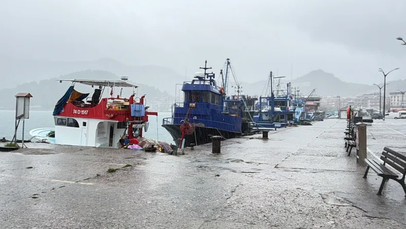 Bartın'da kuvvetli rüzgar; ağaçlar devrildi (2)