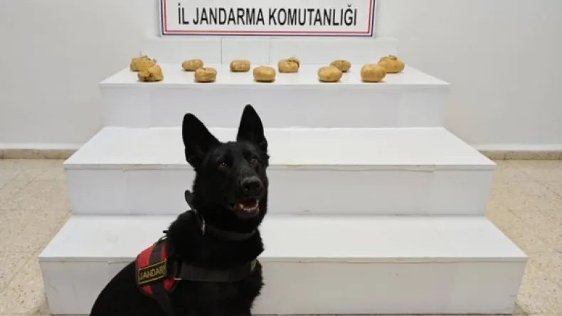 Başkale’de 11 kilo 958 gram toz esrar ele geçirildi