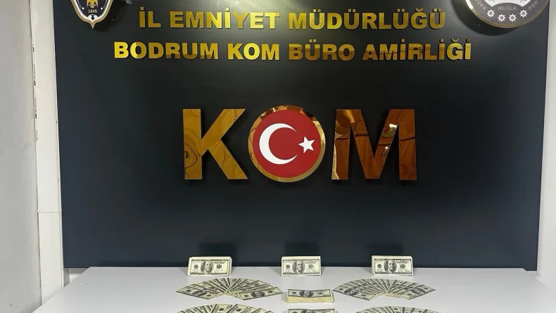 Bodrum'da 46 bin 200 sahte ABD dolarI ele geçirildi, 1 tutuklama