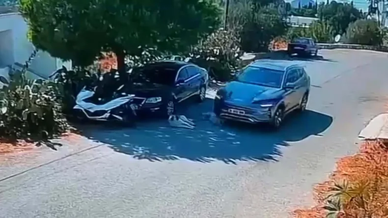 Bodrum'da otomobil, iki köpeğin üzerinden geçti; o anlar kamerada