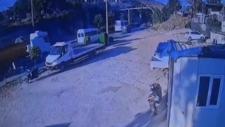 Bodrum'da TIR ile motosiklet çarpıştı, 1 ölü