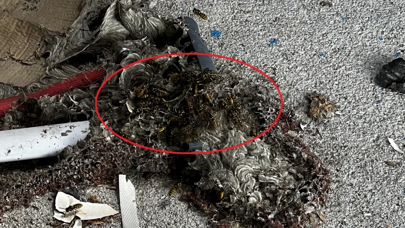 Çatı temizliği sırasında aynı aileden 4 kişiye arılar saldırdı