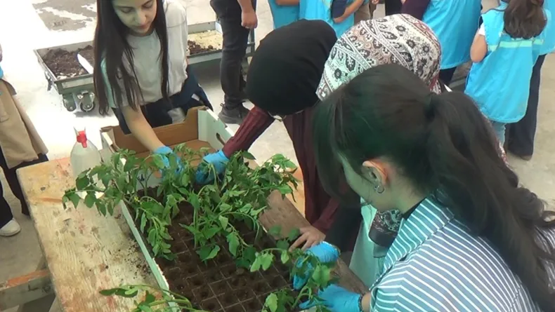 Çocuklar, COP31 farkındalık etkinliğinde hasat ettikleri ürünleri pazarda satışa sundu / Ek fotoğraflar