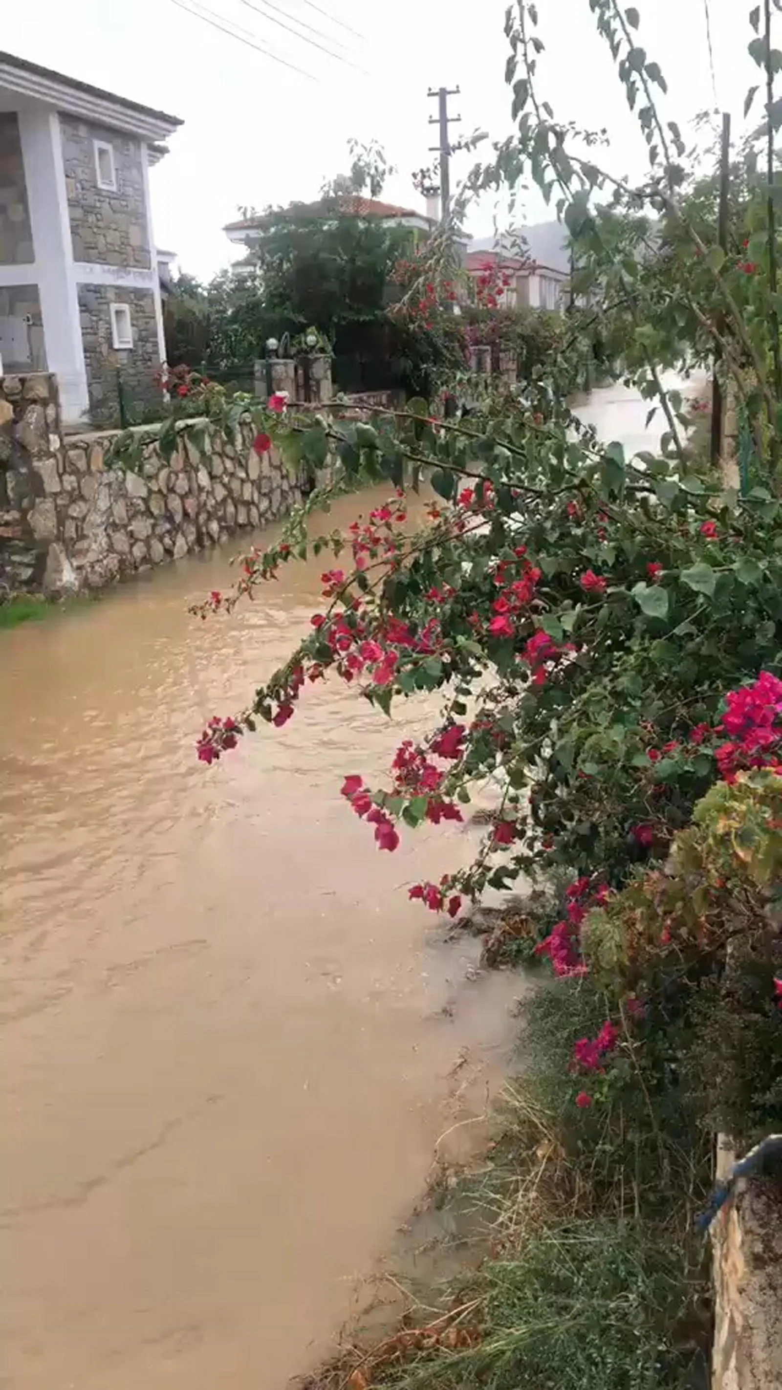 Datça'da sağanak nedeniyle yollar göle döndü