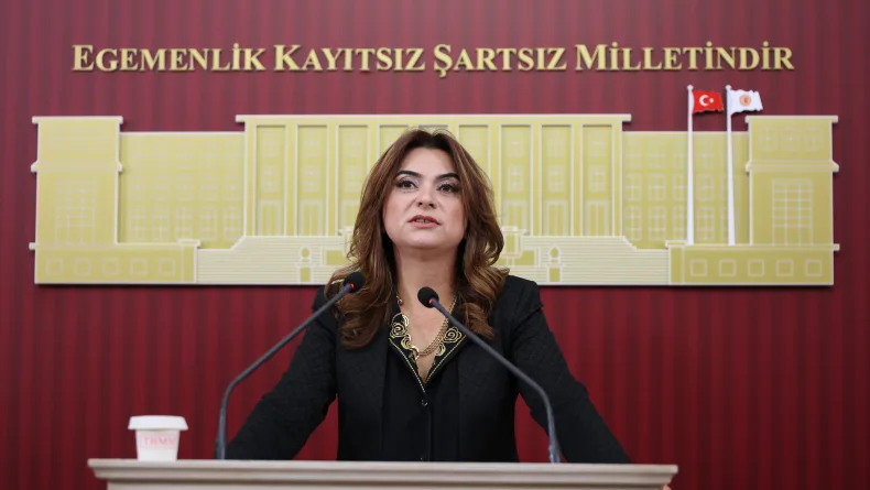 DEM Parti’li Koçyiğit: Bu ülkedeki her 100 liranın 17 lirası faize gidiyor