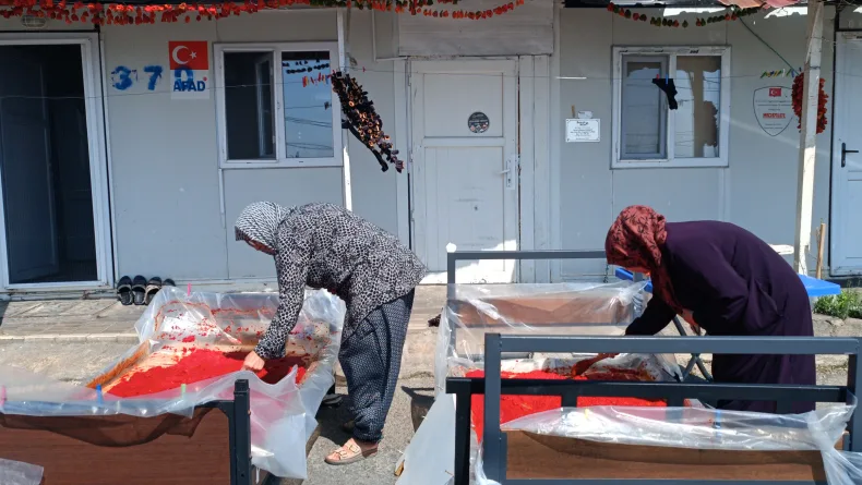 Depremzede kadınların 'salça' ve 'kurutmalık' telaşı