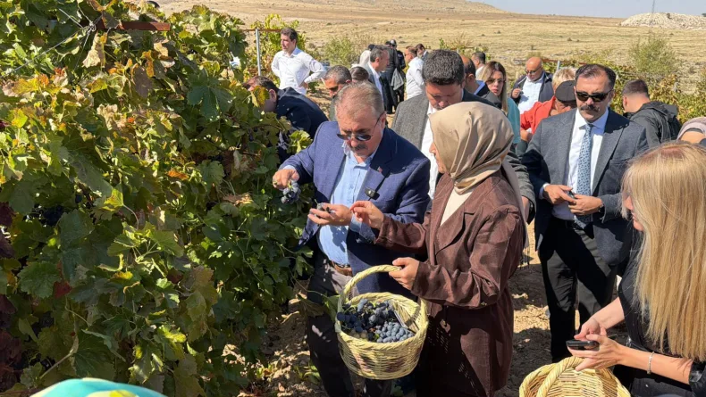Destici, memleketi Eskişehir'de bağbozumu etkinliğine katıldı