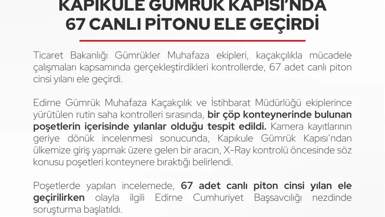 Edirne-Kapıkule Gümrük Kapısı'nda 67 canlı piton ele geçirildi