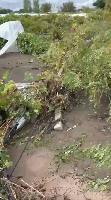 Elazığ’da sağanak sele neden oldu, üzüm bağları su altında kaldı / Ek fotoğraf