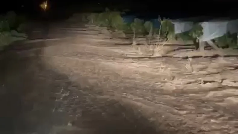 Elazığ’da sağanak sele neden oldu, üzüm bağları su altında kaldı