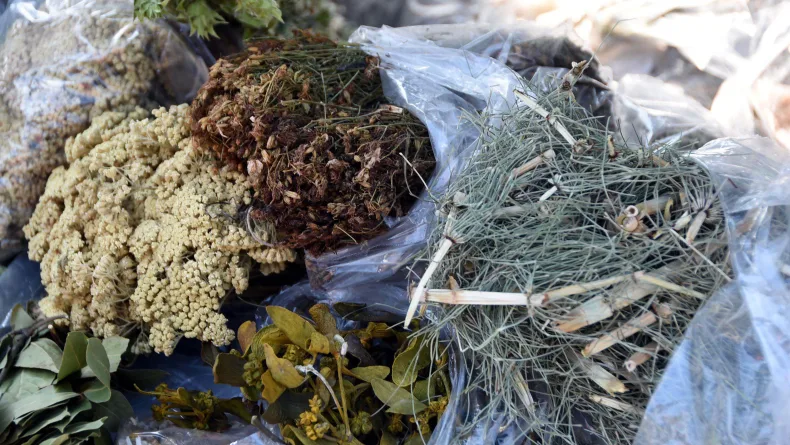'En masumlarının bile vücudumuza toksik etkileri olabiliyor'