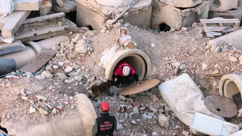 Enkaz alanı, arama- kurtarma köpeklerinin eğitim merkezi oldu