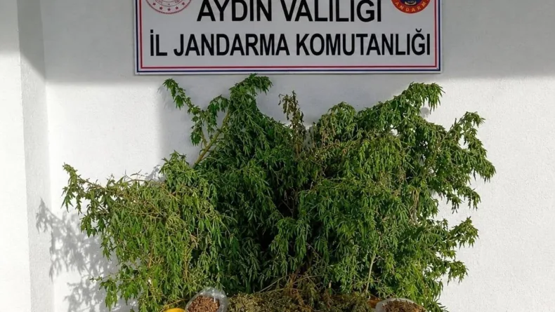 Evinde 3 kilo esrar ile yakalandı