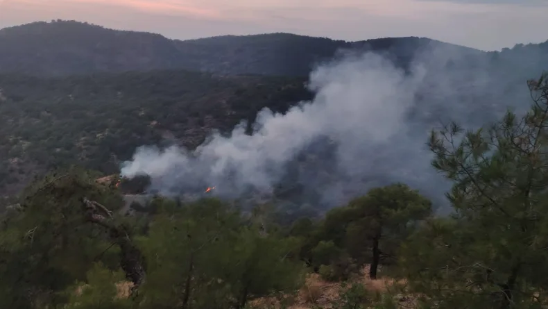 Gaziantep’te orman yangını; 4 dönüm alan zarar gördü