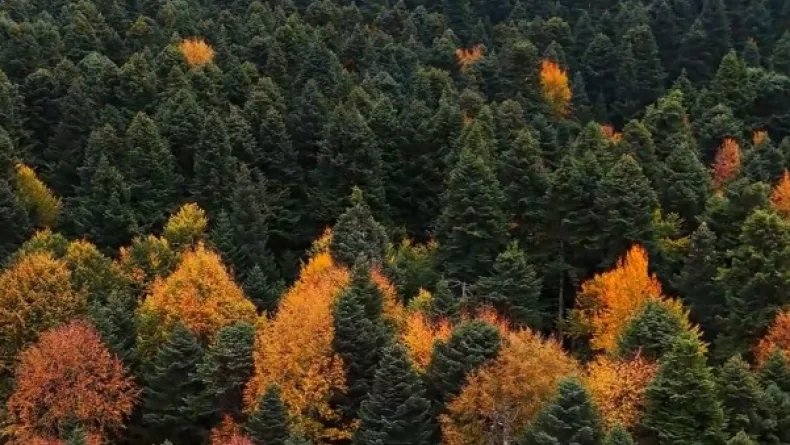 Gölcük Tabiat Parkı'nda sonbahar güzelliği
