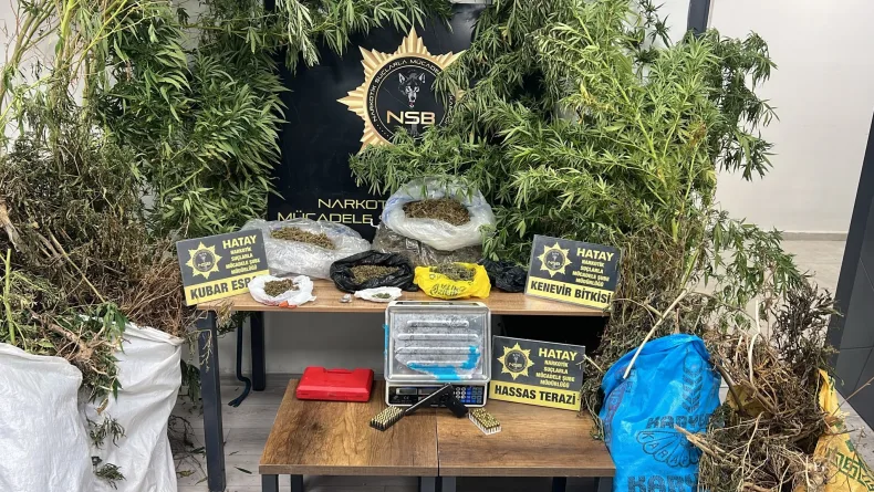 Hatay'da 122 kök Hint keneviri ve 14 kilo 752 gram kubar esrar ele geçirildi; 1 şüpheli tutuklandı