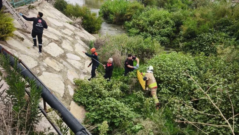 Hatay'da otomobil dereye uçtu; 3 yaralı