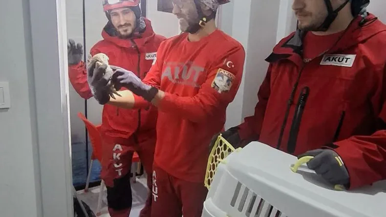 Havalandırma boşluğunda mahsur kalan baykuşu, AKUT kurtardı