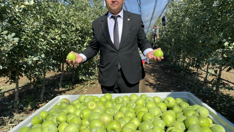 Isparta'da elma hasadı başladı; rekolte beklentisi 1 milyon 250 bin ton
