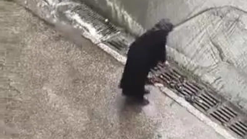İstanbul'da taşkın oluşmaması için bastonu ile mazgaldaki yaprakları temizledi