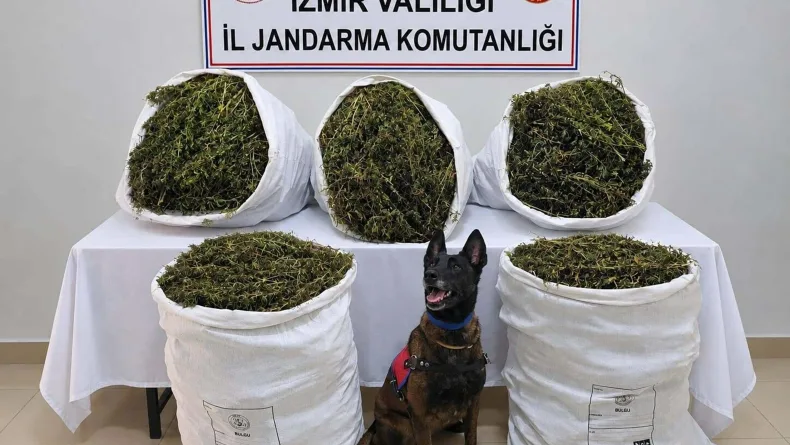 İzmir'de 54 kilo 800 gram kubar esrar ele geçirildi: 3 tutuklama