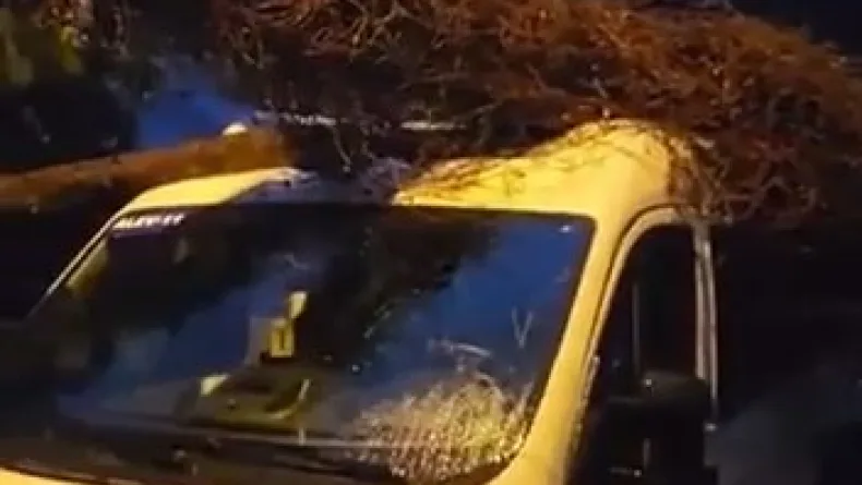 Kadıköy’de öğrenci almak için bekleyen servis minibüsünün üzerine ağaç devrildi