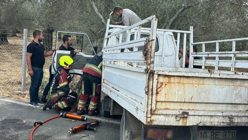 Kamyonete giren eşek arısı, kazaya neden oldu: 2 yaralı