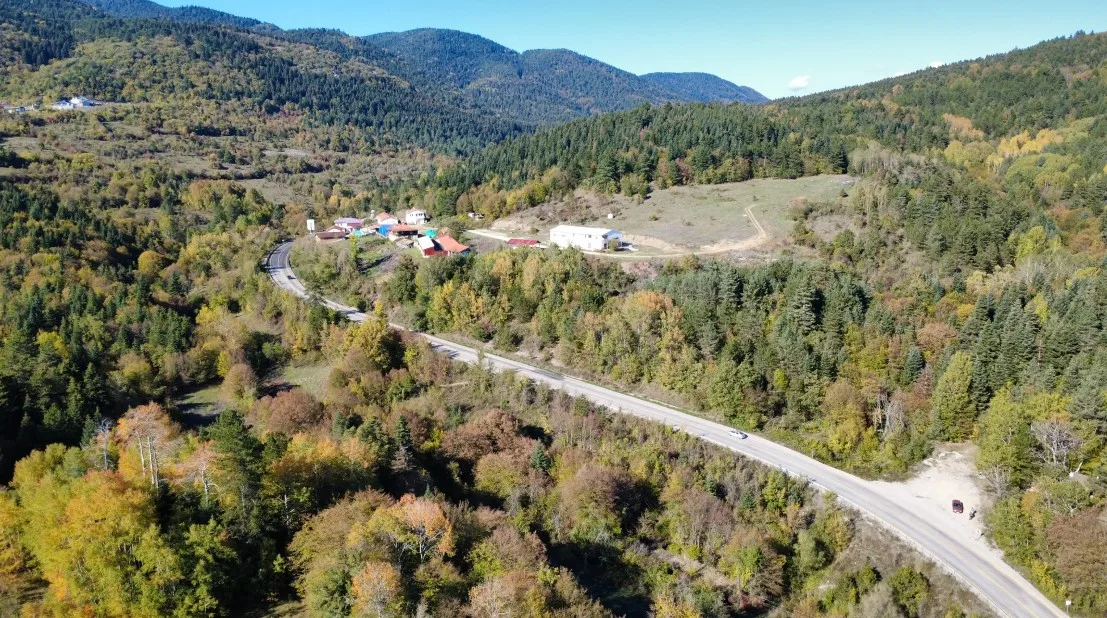 Karabük ormanlarında sonbahar renkleri