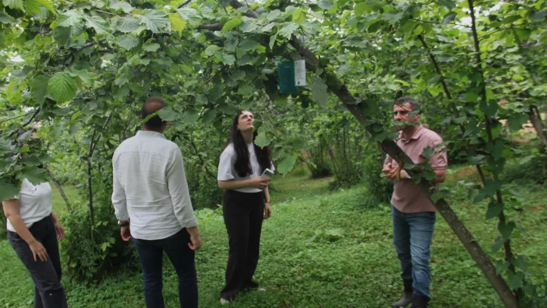 Karadeniz'de istilacı böcek kabusuna 'siber' kalkan