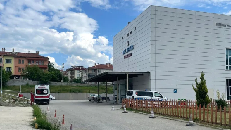 Kastamonu'da orman işçisi, arı sokması sonucu öldü